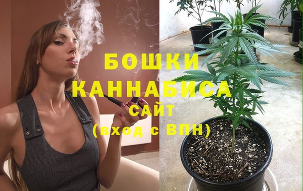индика Лиски