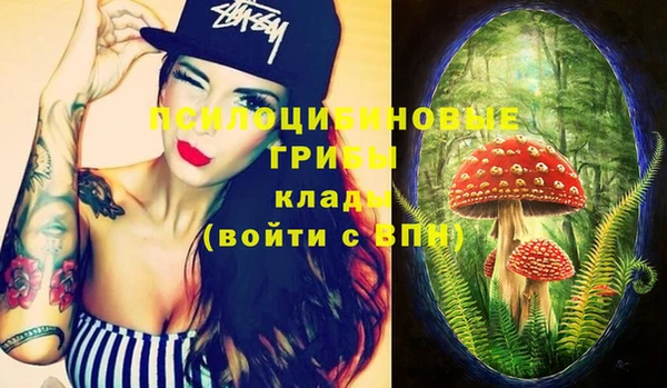 индика Лиски