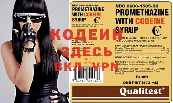 индика Лиски