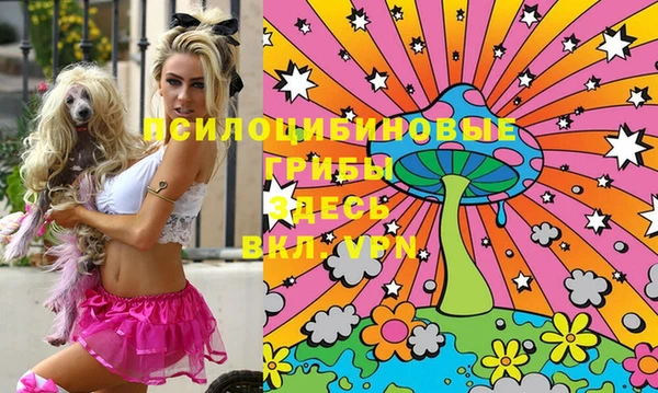 индика Лиски
