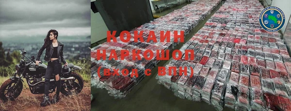 индика Лиски