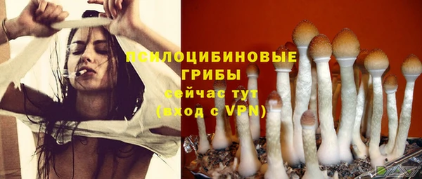 дживик Ачинск